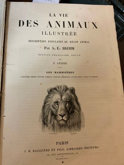 BREHM, La Vie des animaux illustrée : les...