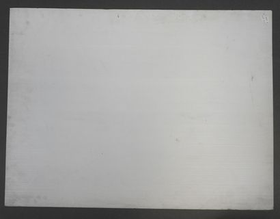 Panneau publicitaire rectangulaire en plastique...