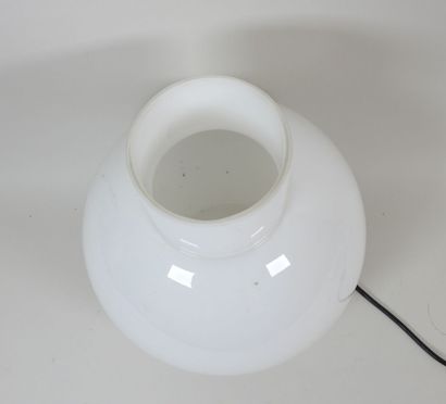Lampe en verre teinté blanc de forme boule.
Travail...