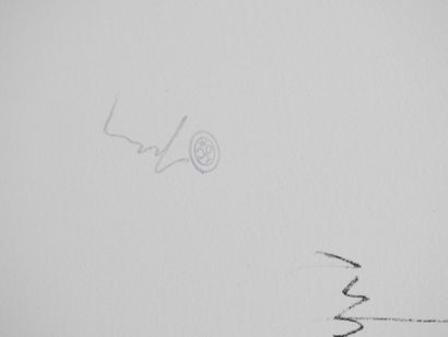 Jean COCTEAU. Lithographies. 25 Lithographies...