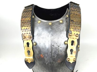 France, 1st Empire (1804-1814).
Rare cuirassier...