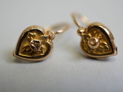 Pair of heart-shaped gold earrings.
0,57...