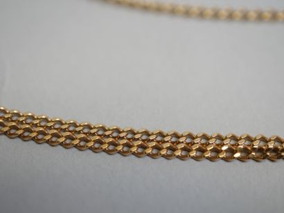 Gold chain, gourmette stitch, metal clasp,...