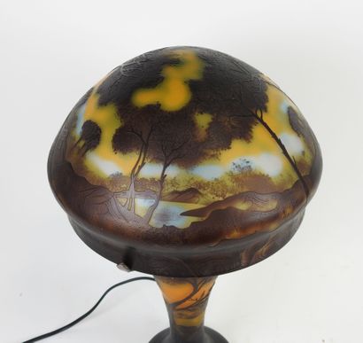 ÉTABLISSEMENTS GALLÉ (1904-1936), d'après.
Lampe...