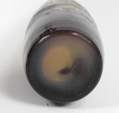 Émile GALLÉ (1846-1904).
Vase soliflore piriforme...