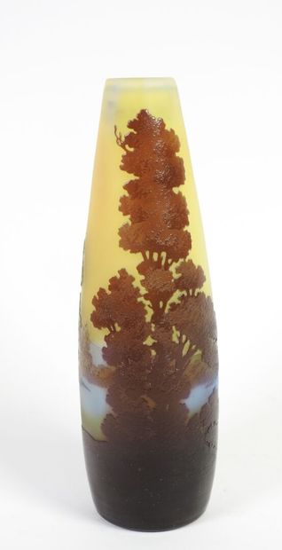 Émile GALLÉ (1846-1904).
Vase soliflore piriforme...