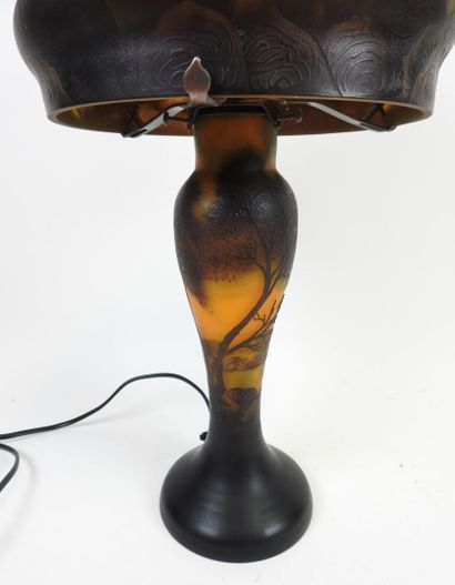 ÉTABLISSEMENTS GALLÉ (1904-1936), d'après.
Lampe...