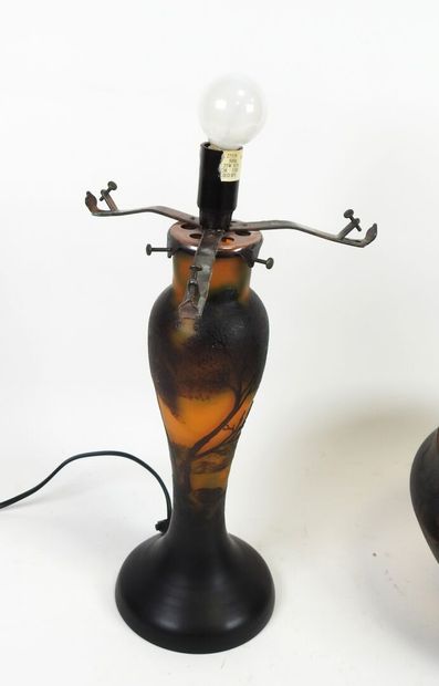 ÉTABLISSEMENTS GALLÉ (1904-1936), d'après.
Lampe...