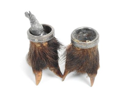 Set comprising: two naturalized boar feet...