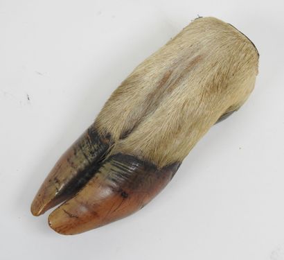 Honorary stag's foot bearing a plaque 