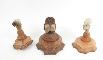 Set of three boar and deer leg coat hooks.
On...