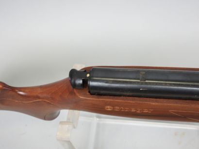 Carabine à plomb STOEGER modèle X5, calibre...