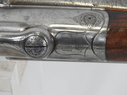 Fusil de chasse à percussion à système de...