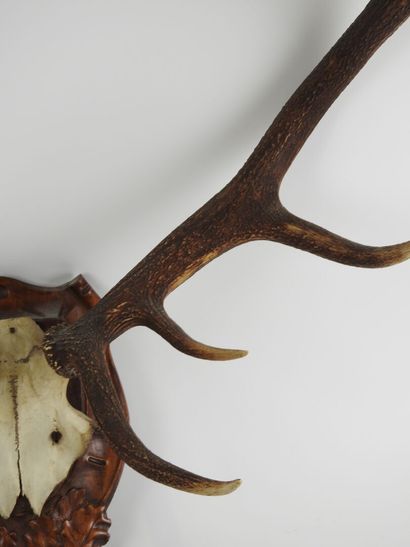 Deer (Cervus Elaphus) (CH): Massacre with...