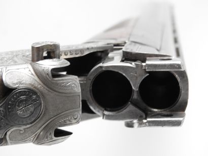 Fusil de chasse MERKEL à platines modèle...