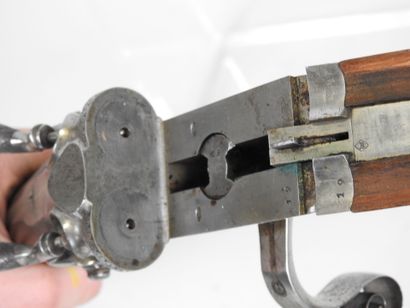 Fusil de chasse à percussion à système de...