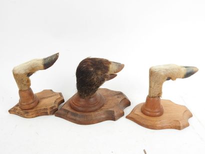 Set of three boar and deer leg coat hooks.
On...