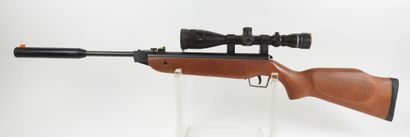 Carabine à plomb COMETA modèle 220, calibre...