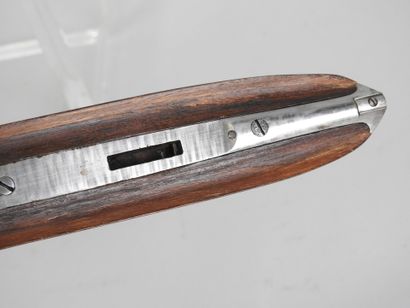 Fusil de chasse à percussion à système de...