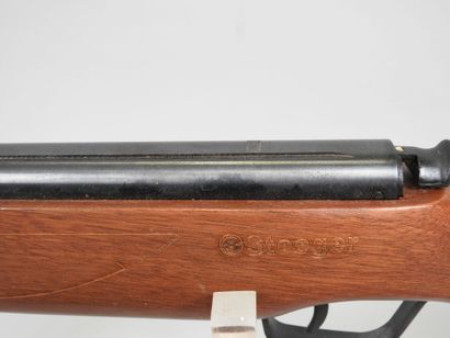 Carabine à plomb STOEGER modèle X5, calibre...