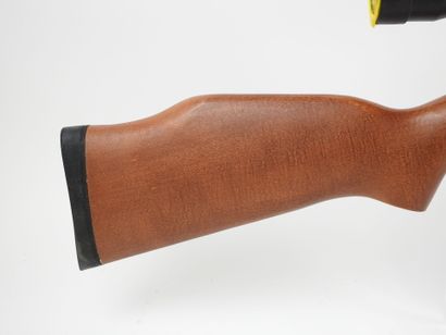 Carabine à plomb COMETA modèle 220, calibre...