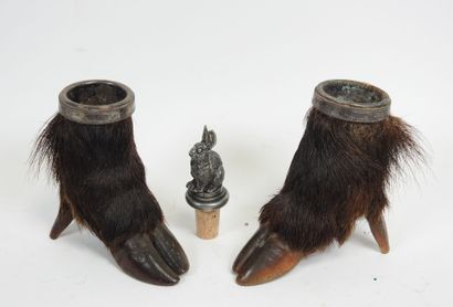 Set comprising: two naturalized boar feet...