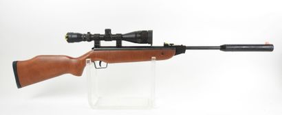 Carabine à plomb COMETA modèle 220, calibre...