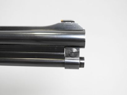 Fusil VERNEY CARRON modèle SAGITAIRE NT,...