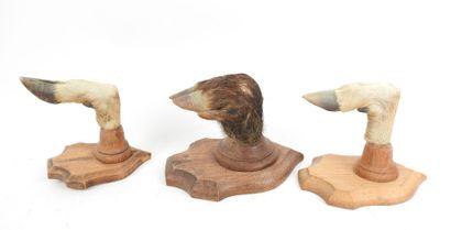 Set of three boar and deer leg coat hooks.
On...