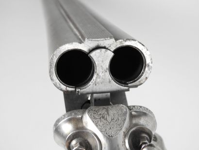 Fusil de chasse à percussion à système de...