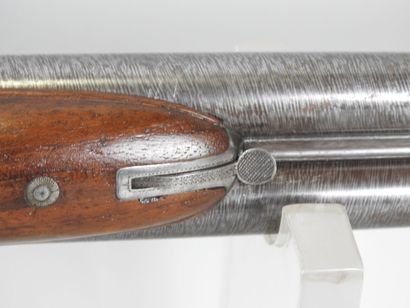 Fusil de chasse à percussion à système de...