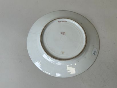 Porcelain dinner plate with green background...