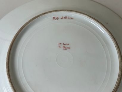Porcelain dinner plate with green background...
