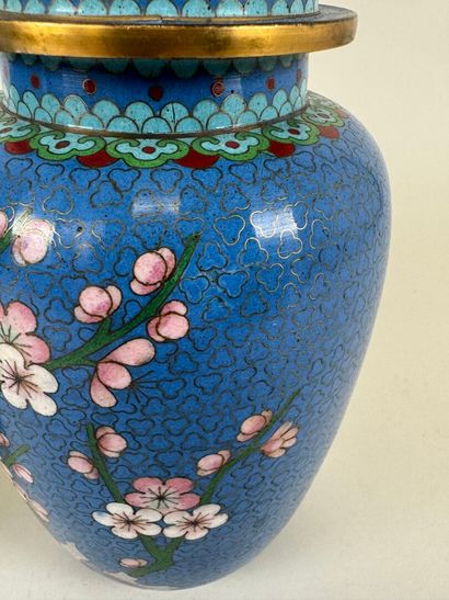 ASIE, XXe.
Paire de vases en bronze et émaux...