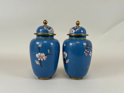 ASIE, XXe.
Paire de vases en bronze et émaux...