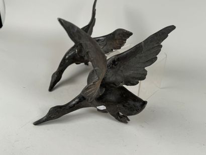 Lot de deux canards en régule.
L. 40 cm.
(petites...