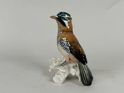 Manufacture KARL ENS - SAXE.
Oiseau branché.
Sujet...
