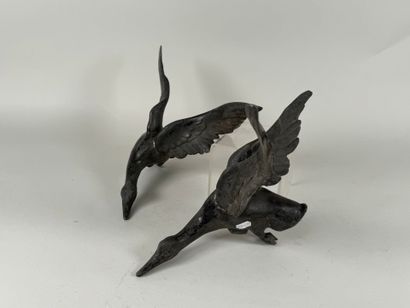 Lot de deux canards en régule.
L. 40 cm.
(petites...