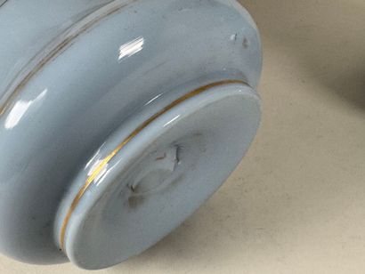 Paire de vases en opaline sur fond bleu à...