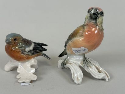 Karl ENS (1802-1865) et GOEBEL.
Deux sujets...