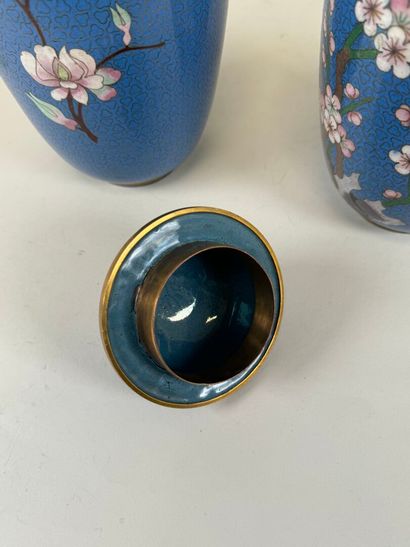 ASIE, XXe.
Paire de vases en bronze et émaux...