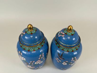 ASIE, XXe.
Paire de vases en bronze et émaux...