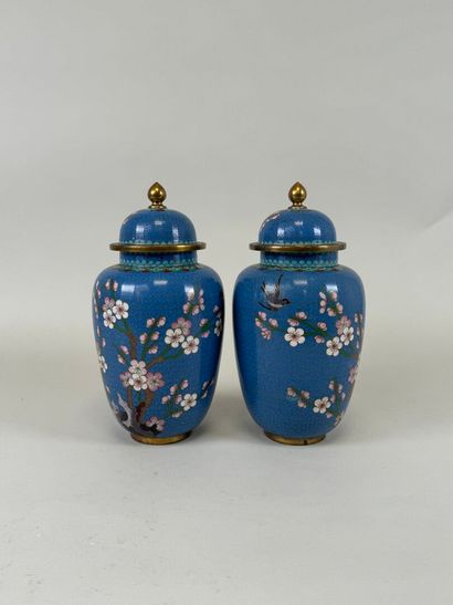 ASIE, XXe.
Paire de vases en bronze et émaux...