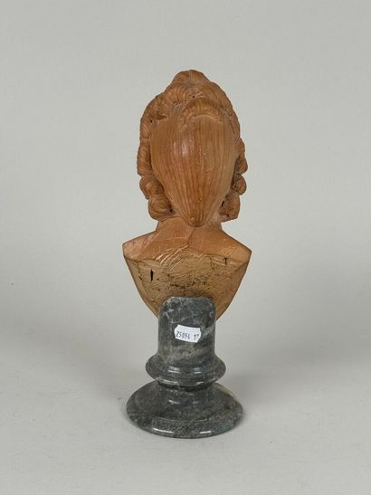 French school in the 18th century taste.
Bust...