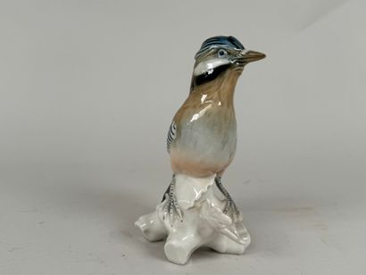 Manufacture KARL ENS - SAXE.
Oiseau branché.
Sujet...