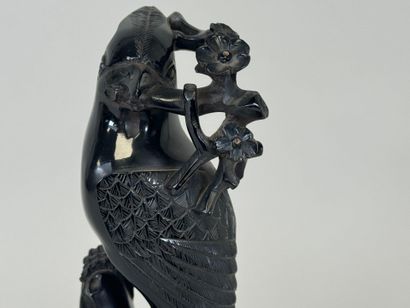 ASIA, 20th century.
Trendy bird.
Subject...