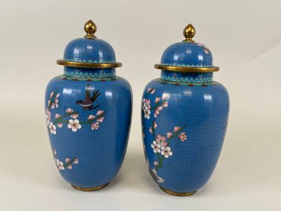 ASIE, XXe.
Paire de vases en bronze et émaux...