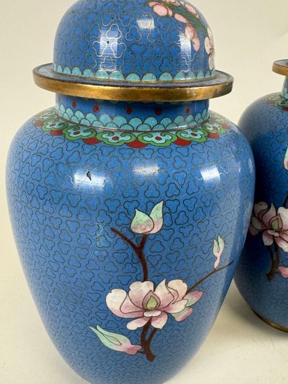 ASIE, XXe.
Paire de vases en bronze et émaux...