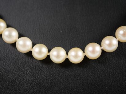 Necklace of shoker pearls, spherical clasp...