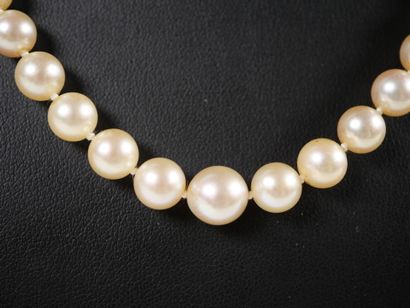 Necklace of falling pearls, the rectangular...